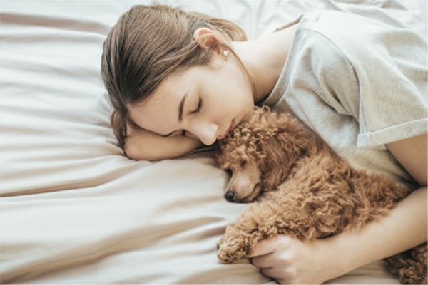 女人梦到狗死了