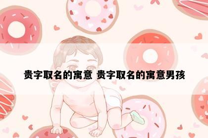 贵字取名的寓意 贵字取名的寓意男孩