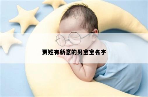 贾姓有新意的男宝宝名字
